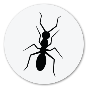 Carpenter Ant Icon