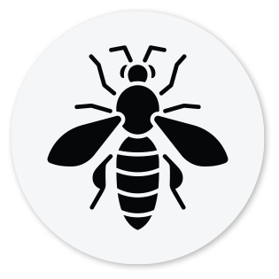 Bee Hornet Wasp Icon