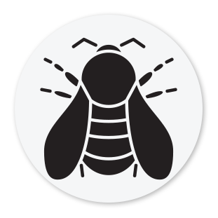 Carpenter Bee Icon